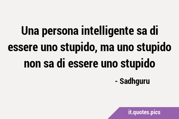 Una persona intelligente sa di essere uno stupido, ma uno stupido non sa di essere uno …