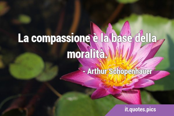 La compassione è la base della …
